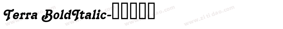 Terra BoldItalic字体转换